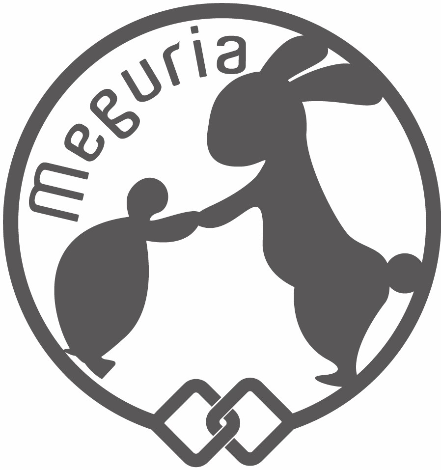 合同会社メグリア